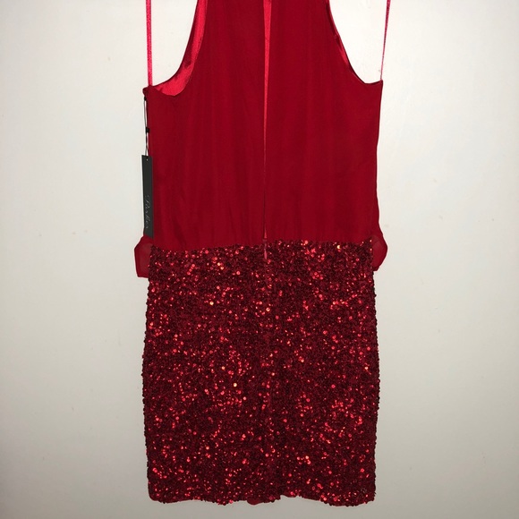 Parker Sequined Dress - Picture 6 of 7